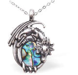 Celtic Dragon Necklace of Paua Shell, Rhodium Plated