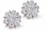 Pave Crystal Embellished Flower Stud Earrings
18mm in size

Colour: Silver Coloured. Blue Crystals
Rhodium Plated
Delivered in a soft, black, velveteen pouch