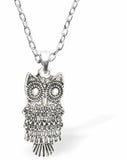 Silver Coloured Owl Necklace by Byzantium with a choice of chains