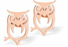Artisan Owl Rose Gold Coloured Titanium Steel Stud Earrings