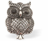 Sparkly, Beautiful Wise Owl Brooch, Rhodium Plated