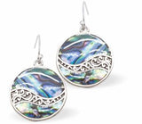 Natural Paua Shell Round Wave Drop Earrings Hypoallergenic: Rhodium Plated, Nickel, Lead and Cadmium Free Greeny Blue in colour 18mm in size See matching necklace P708 Delivered in a soft, black, velveteen pouch