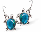 Natural Paua Shell Turtle Drop Earrings, Rhodium Plated