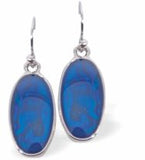 Paua Shell Majestic Oval Earrings
20mm, Rhodium Plated

Hypoallergenic: Nickel, Lead and Cadmium free
Delivered in a soft, black, velveteen pouch