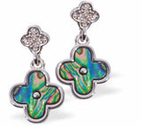 Natural Paua Shell Double Clover Crystal Embellished Earrings, Rhodium Plated