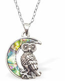 Paua Shell Crescent Moon with Owl Necklace, Rhodium Plated