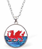 Paua Shell Welsh Flag Necklace, Rhodium Plated