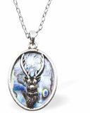 Paua Shell Oval Necklace with Stag, Rhodium Plated