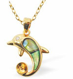 Paua Shell Dolphin Necklace, Rhodium Plated, Golden Framed/Chain