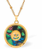 Special PVD Oval Necklace with Central Dancing Dots
Golden coloured chain with Paua Shell inset
Hypoallergenic; Free from cadmium, lead and nickel
20mm in size
Colour: Silver coloured and Crystal
Delivered in a soft, black, velveteen pouch