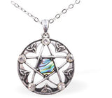 Paua Shell Celtic Pentagram Necklace Hypoallergenic: Nickel, Lead and Cadmium Free 24mm in size, with 18" chain Rhodium Plated Delivered in a soft, black, velveteen pouch