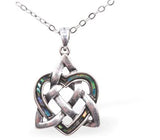 Celtic Triquetra Heart Necklace of Paua Shell, Rhodium Plated