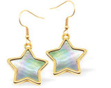 Gold Coloured Pearl Embossed Star Drop Earrings Hypoallergenic: Rhodium Plated, Nickel, Lead and Cadmium Free 14mm in size Colour: Gold Coloured and Pearl White See matching necklace GP712 Delivered in a soft, black, velveteen pouch