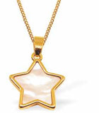 Gold Plated Shell Embossed Star Necklace