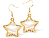 Gold Coloured White Pearl Embossed Star Drop Earrings Hypoallergenic: Rhodium Plated, Nickel, Lead and Cadmium Free 16mm in size Colour: Gold Coloured and Pearl White See matching necklace GP52 Delivered in a soft, black, velveteen pouch