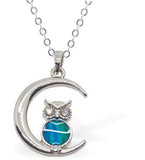 Paua Shell Owl in the Moon Necklace  Hypoallergenic: Rhodium Plated, Nickel, Lead and Cadmium Free Greeny Blue in colour, Crystal encrusted. 20mm in size See matching earrings P477 Delivered in a soft, black, velveteen pouch