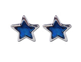 Paua Shell Star Stud Earrings