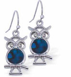 Paua Shell Cute Baby Owl Drop Earrings, by Byzantium. Rhodium Plated, 18mm in size