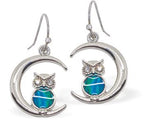 Paua Shell Owl in the Moon Drop Earrings 20mm in size Rhodium Plated, hypoallergenic Nickel, Lead and Cadmium free See Matching Earrings P1427 Delivered in a soft, black, velveteen pouch