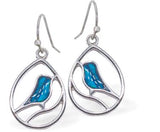 Paua Shell Teardrop Framed Bird Drop Earrings 15mm in size Rhodium Plated, hypoallergenic Nickel, Lead and Cadmium free See Matching Earrings P1438 Delivered in a soft, black, velveteen pouch