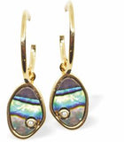 Delicate Drop Paua Shell Drop Earrings, Rhodium Plated, Golden Framed