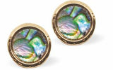 Paua Shell Round Stud Earrings, Golden Framed Greeny Blue in Colour 10mm in size,  Rhodium Plated Hypoallergenic: Nickel, Lead and Cadmium Free Delivered in a soft, black, velveteen pouch 