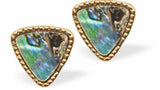Paua Shell Triangular Stud Earrings, Rhodium Plated, Golden Framed