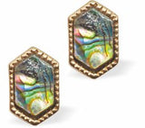 Paua Shell Long Octagon Stud Earrings, Golden Framed Greeny Blue in Colour 10mm in size,  Rhodium Plated Hypoallergenic: Nickel, Lead and Cadmium Free Delivered in a soft, black, velveteen pouch