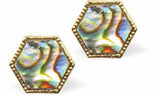 Paua Shell Octagon Stud Earrings, Rhodium Plated, Golden Framed