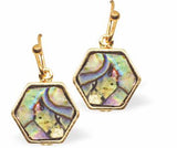 Paua Shell Octagon Drop Earrings, Rhodium Plated, Golden Framed