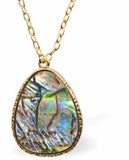 Paua Shell Pearshape Necklace, Rhodium Plated, Golden Chain and Frame