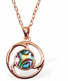 Paua Shell Twirl Necklace, Rhodium Plated, Golden Chain and Frame