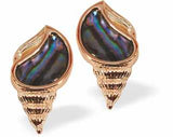 Bright Warm Rose Gold Coloured Paua Shell Encrusted Conch Shell Stud Earrings by Byzantium.